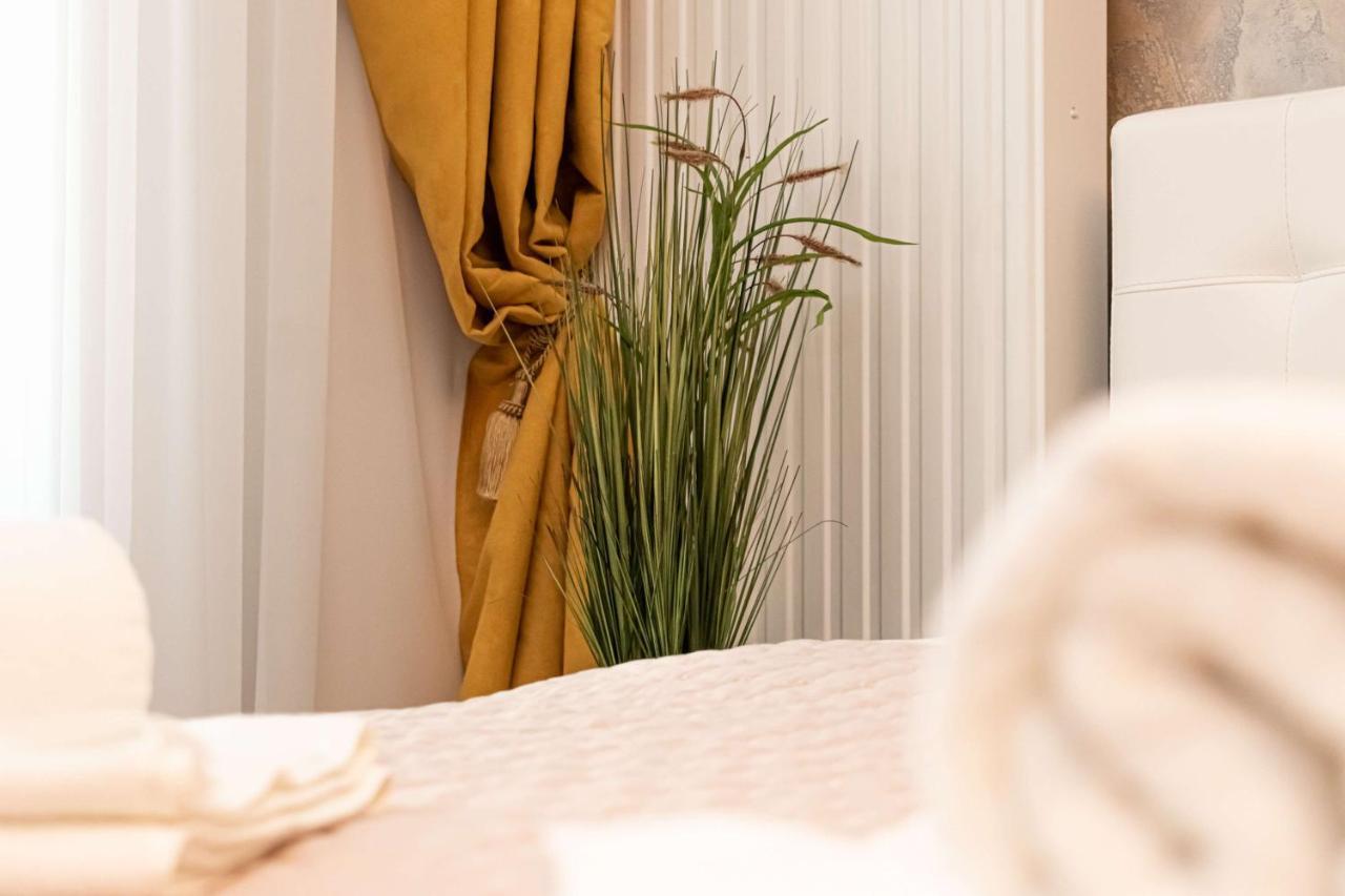 Apartment Royal Brasov
